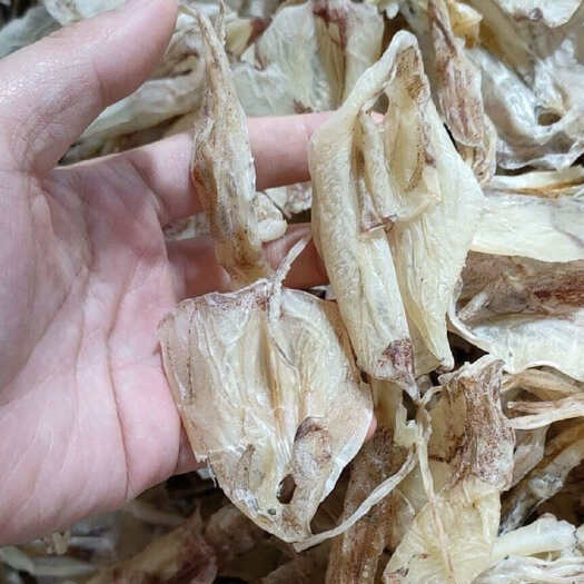 北海顺丰包邮鱿鱼干渔船出海捕鱼现捕直接去内脏洗净后晒干无盐淡晒干