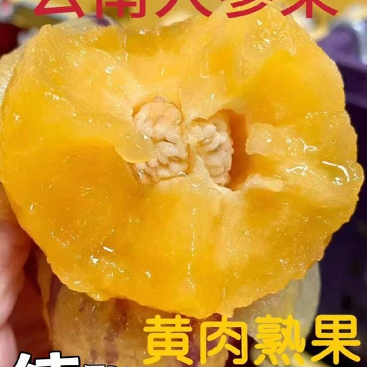 昆明云南石林人参果批发，基地直供新品上市 自然成熟可接电商 一件
