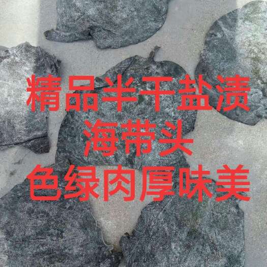 荣成市海带头 优选半干盐渍海带头 片大肉厚无黄 地摊大集展销会热卖