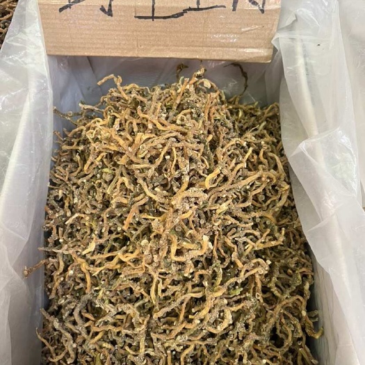 玉林嘢玉竹条一手货源大量现货 供应电商 实体