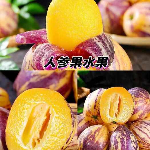 顺丰甘肃民勤黄肉人参果新鲜采摘产地直发带箱5斤坏果包赔