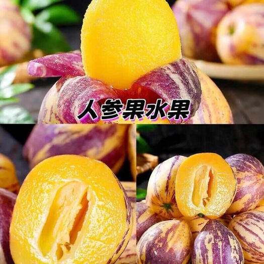武威顺丰甘肃民勤黄肉人参果新鲜采摘产地直发带箱5斤坏果包赔