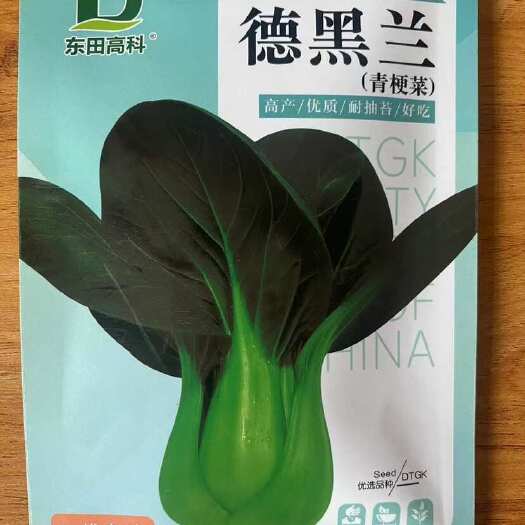 德黑兰青梗菜种子