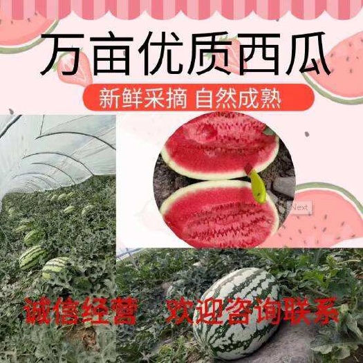 陕西甘美4K西瓜，口感脆甜、产地直供、量大从优
