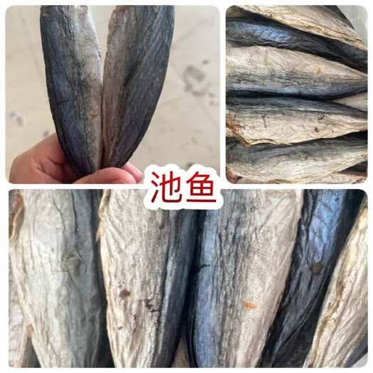 池鱼干 生池 地摊电商批发木竹鱼巴浪鱼干海鲜干货青鱼干池鱼干