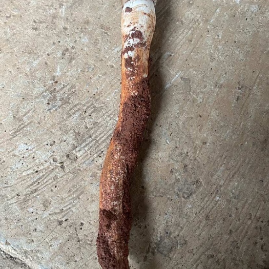 个旧市云南文山黑皮鸡枞