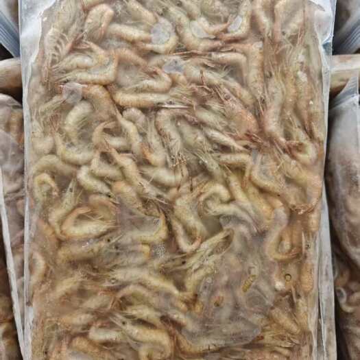 临沂河虾