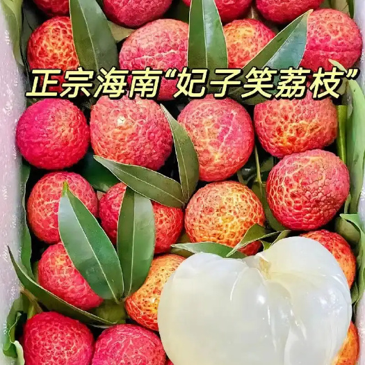 海口【自然搭档】海南妃子笑荔枝新鲜水果3斤/4.5斤装皮薄肉厚