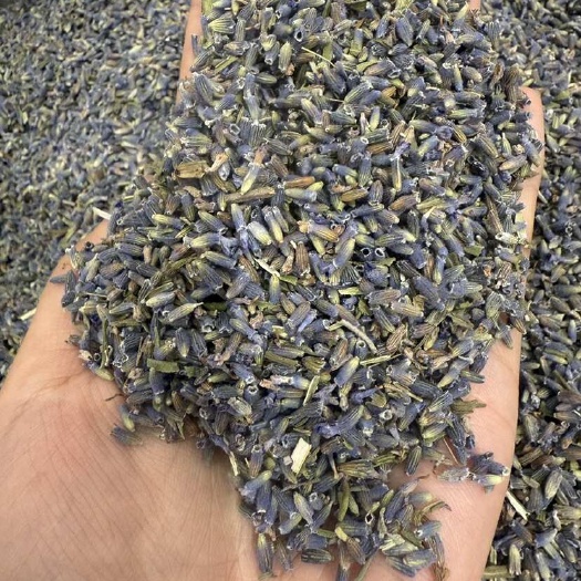 亳州谯城优质薰衣草直供支持批发零售