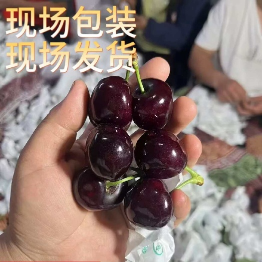 汉源县车厘子整箱5斤新鲜水果大樱桃当季汉源黑珍珠礼盒特大非智利