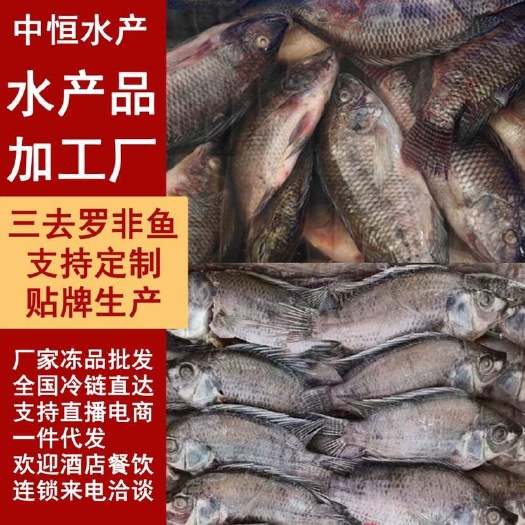 三去罗非鱼7斤装 新鲜罗非鱼加工商用餐饮酒店烧烤店水产冻品厂