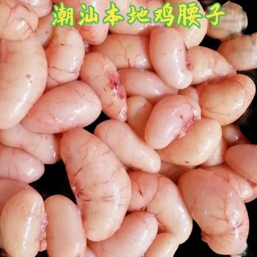 汕头潮汕本地鸡腰子天天有货