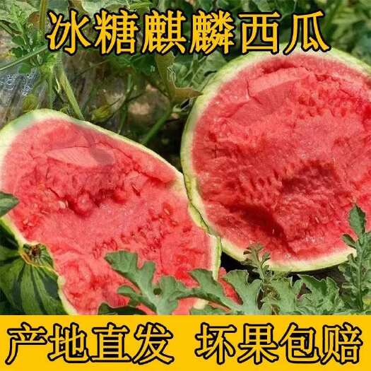 西瓜