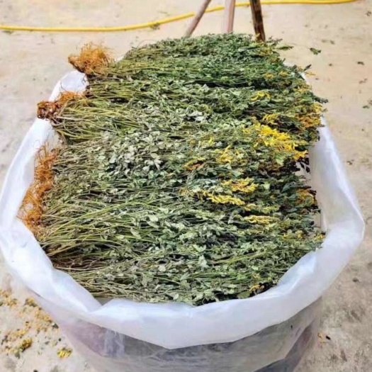 亳州岩黄连岩黄莲正品全棵干草道地无硫正品