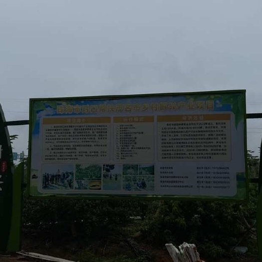 茂名木瓜