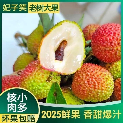 冷链空运包邮:清甜多汁广东妃子笑荔枝皮薄肉厚新鲜水果现摘现发