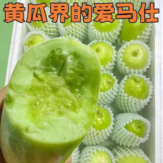 防城港山东玉女水果黄瓜拇指小黄瓜迷你水果黄瓜鲜嫩生吃爽口新鲜现摘