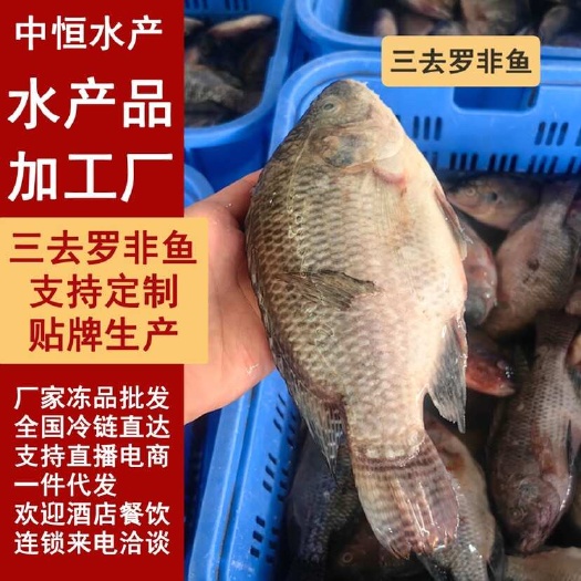 东山县新鲜三去罗非鱼 商用7斤装 炭烤糖醋红烧罗非鱼冻品材料厂家批