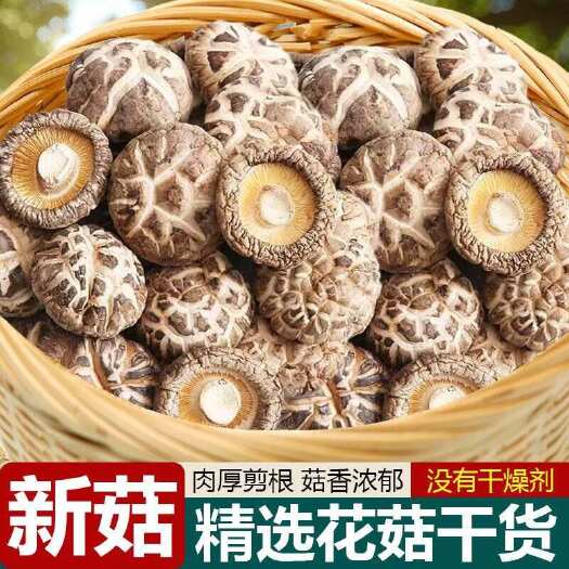 香菇花菇干货500g包邮新鲜营养小干香菇冬菇菌菇新鲜干蘑菇