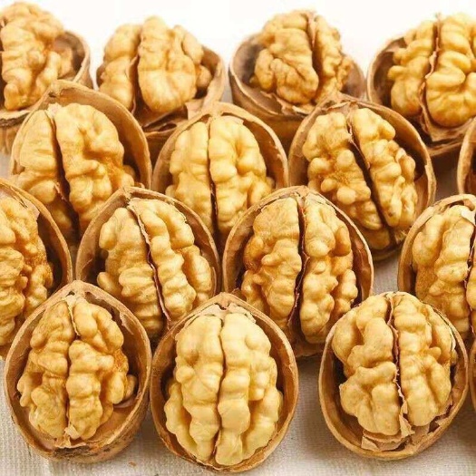 沧县新疆核桃批发大核桃零食坚果