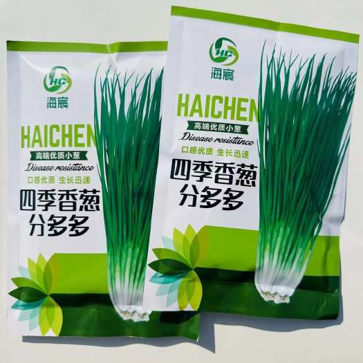 宿迁四季小香葱种子分葱种子