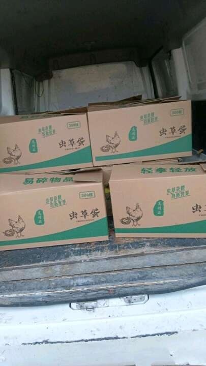 菏泽精品土鸡蛋，黑羽蛋，农大系列蛋应有尽有