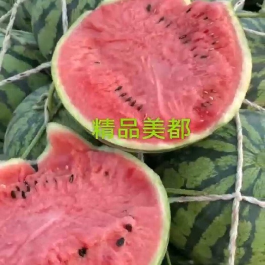 中山市美都麒麟瓜，个头均匀，皮薄肉厚，口感甜润