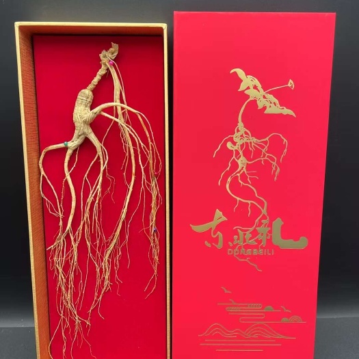 高年头，国检45版山参