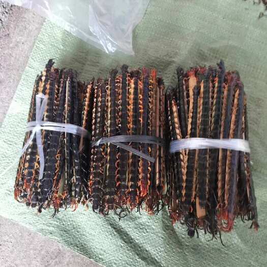 广西浦北供应红头蜈蚣干品货源充足支持批发