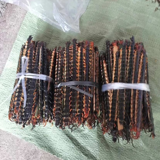 浦北县广西浦北优质红头蜈蚣干货批发供货