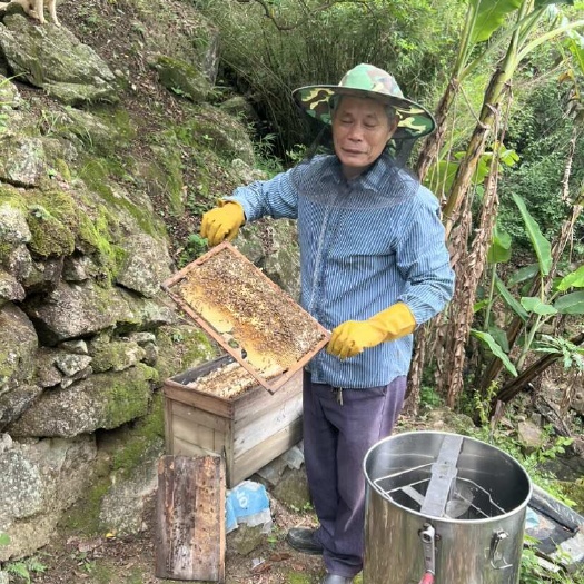陆河县深山土蜂蜜，原浆成熟蜜