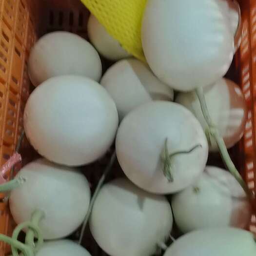 莘县冰淇淋玉菇甜瓜