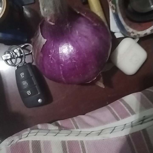 汶上县洋葱