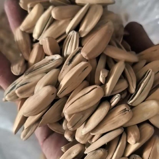 夏邑县瓜子 打手瓜子 原味瓜子