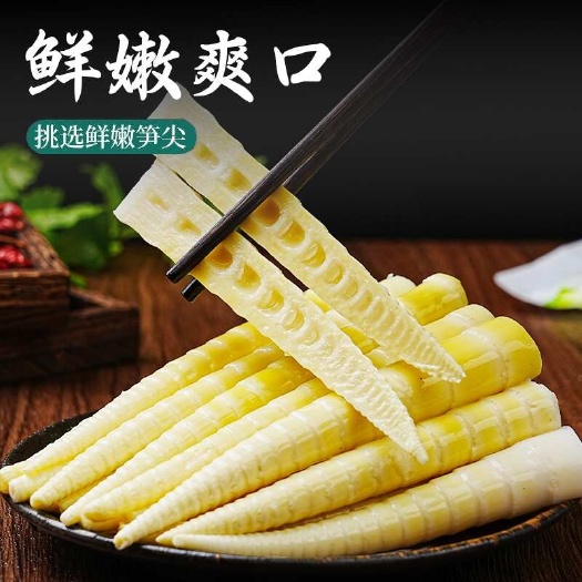 宁德农家小竹笋鲜道新鲜笋尖野竹笋清水嫩笋火锅串串配菜冒菜食材批发