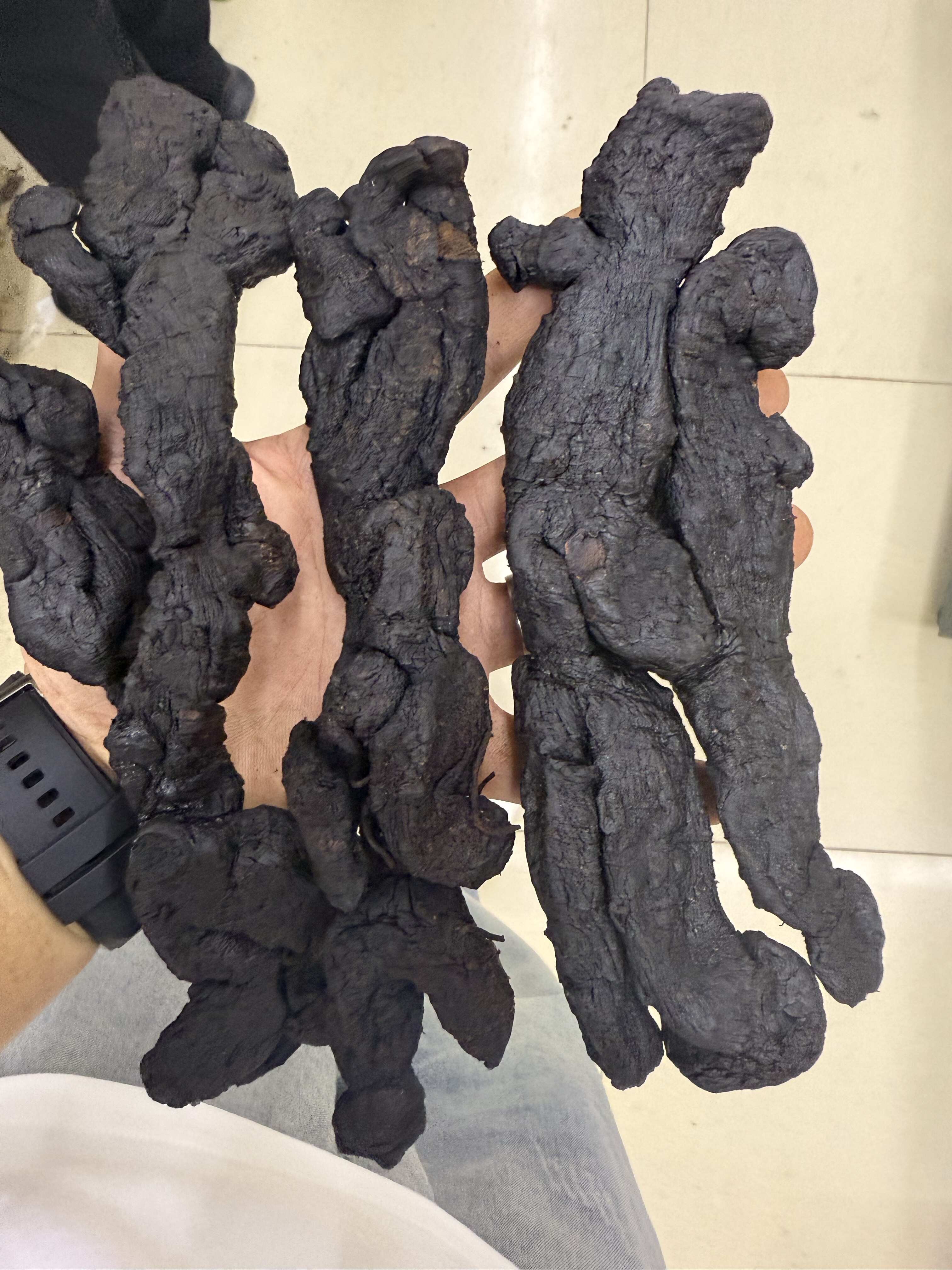 亳州【黄精】九华山九蒸九晒即食黄精鸡头黄精可定制 批发联系商家