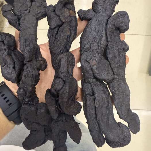 【黄精】九华山九蒸九晒即食黄精鸡头黄精可定制 批发联系商家