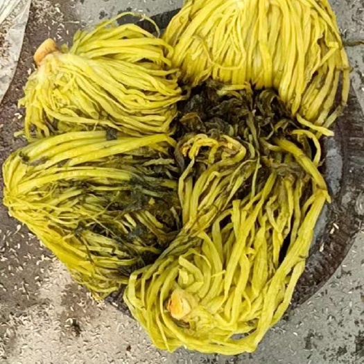 雪里蕻咸菜，鸡冠菜，坛子菜
