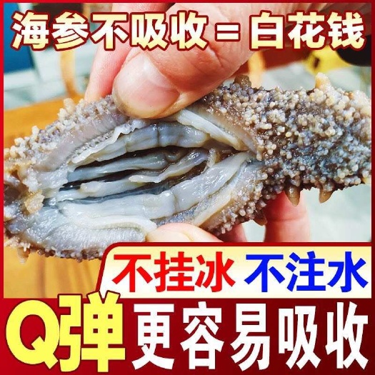 【鲜食辽刺参】辽刺参即食海参海参单个刺参老年人易吸收弹