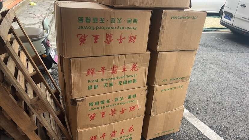广州产地直销：优质霸王花新货已上市，花香清新，足干。