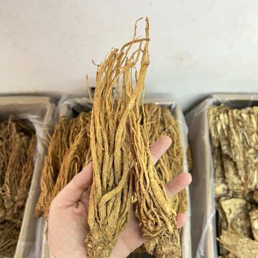 玉林整颗当归头