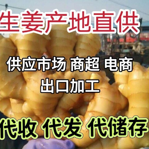 沂水县常年供应大黄姜，山东生姜产地批发，一手货源保质保量