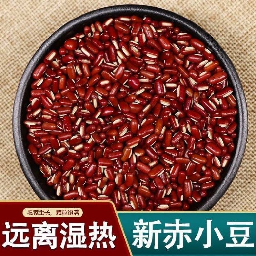 【净重无干燥剂】新赤小豆新货红豆薏米茶粗粮杂粮赤小豆煮粥批发