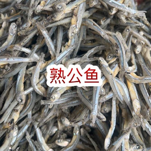佛山淡生晒淡干 地摊电商批发有头熟公鱼干干鱼淡小鱼仔公鱼仔