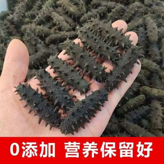 【辽刺半干海参】大连盐渍半干海参刺参底播海参拉缸盐非即食海参