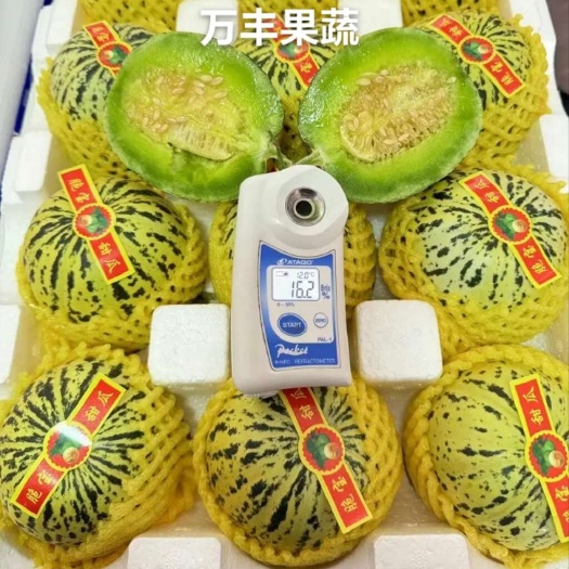 惠民县万亩甜瓜种植基地，质优价廉，保质保量，大量供货！