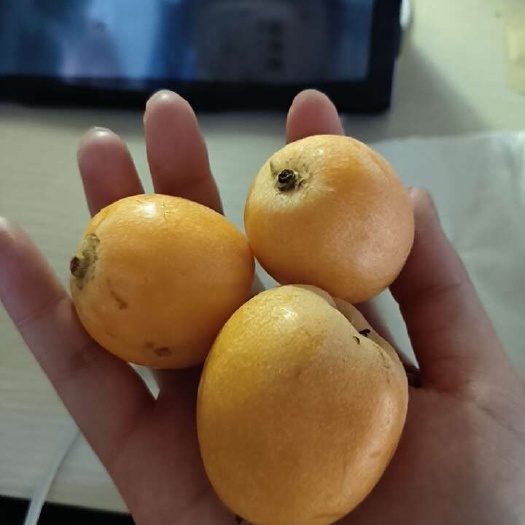 西昌市琵琶湖小个大肉多。味甜汁水多。