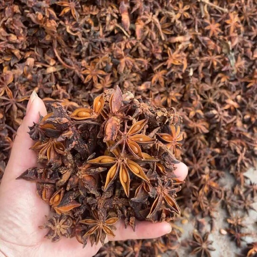 南宁足干大个头水烫 香辛料干货批发零售