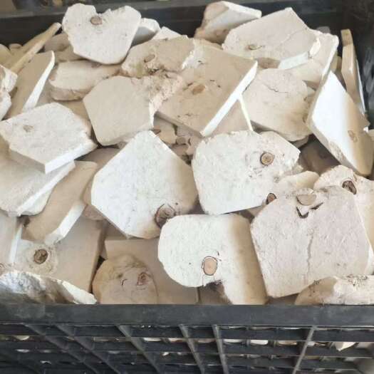 岳西县茯苓茯神