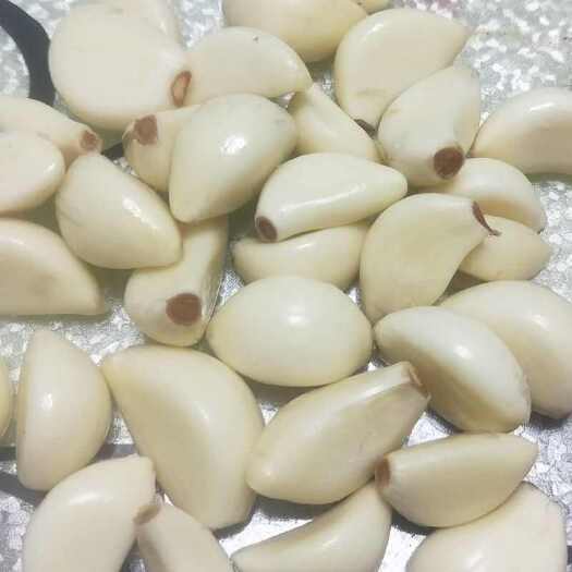 丰县蒜米